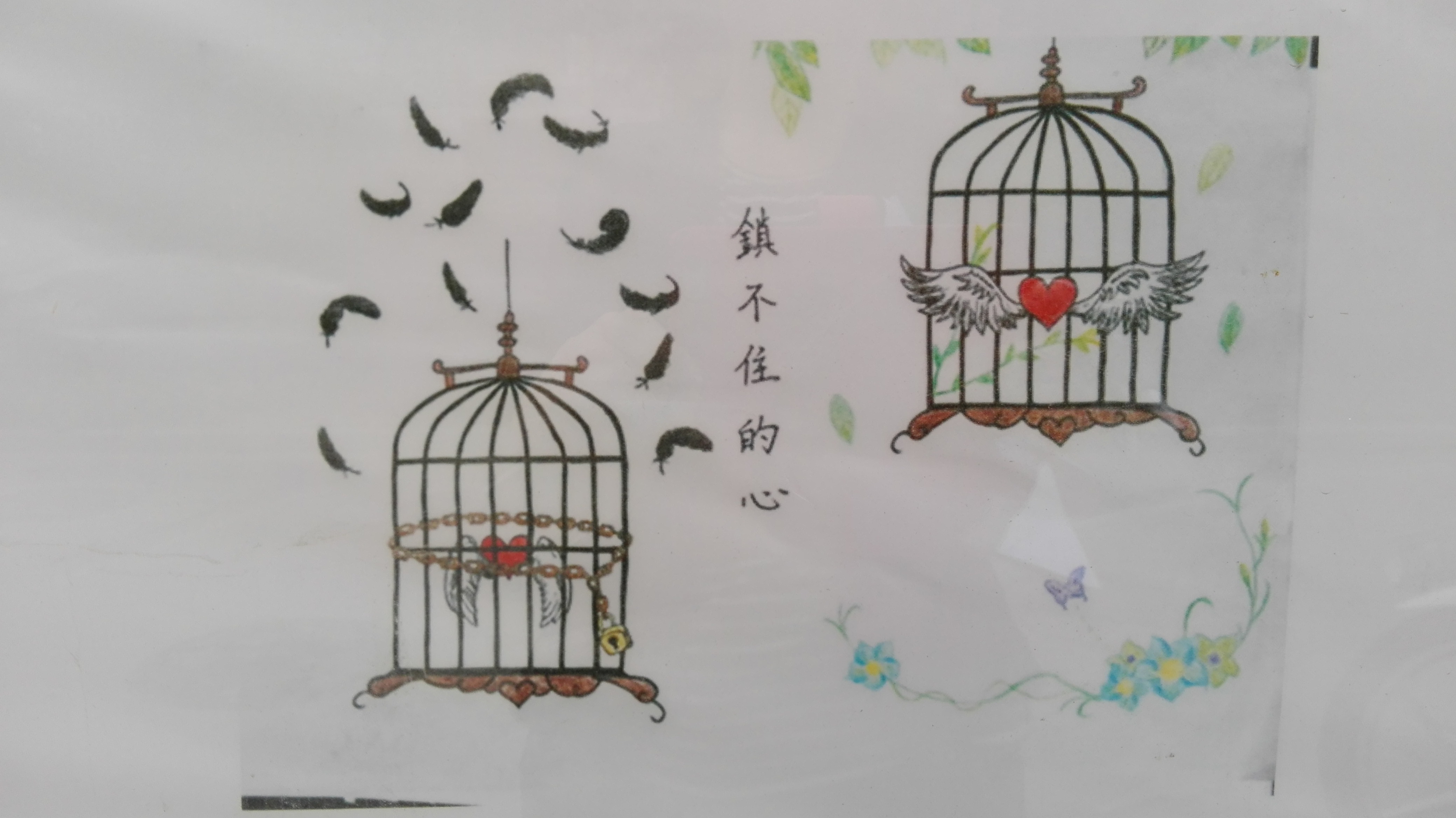 澳门六合彩开奖记录