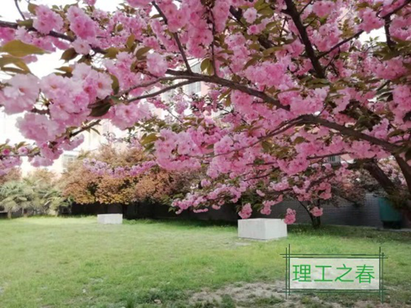澳门六合彩开奖记录