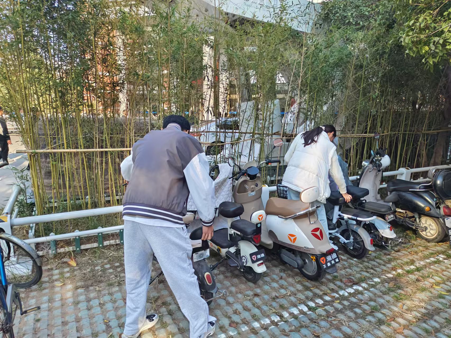 澳门六合彩开奖记录