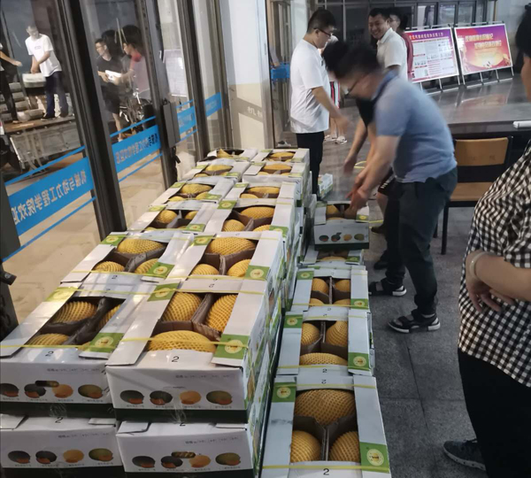 澳门六合彩开奖记录